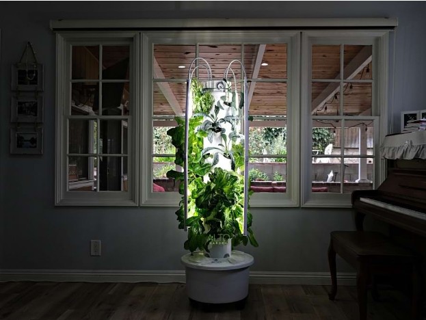 LED grow lights for seedlings