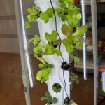 LED grow lights for seedlings