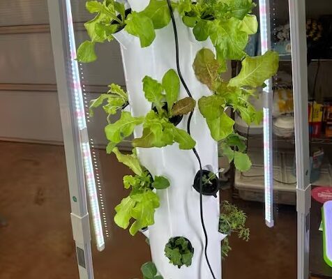 LED grow lights for seedlings