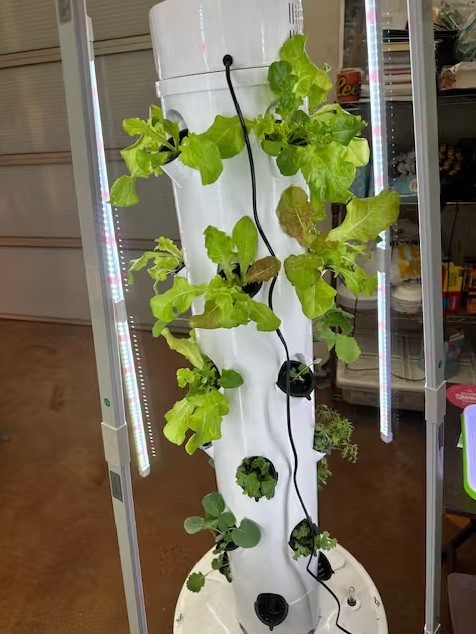 LED grow lights for seedlings