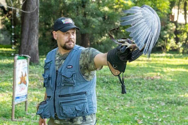 Goose Hunting Services